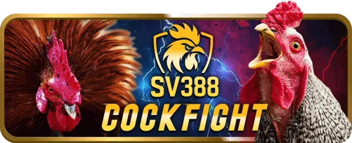 Ưu đãi chào mừng thành viên mới pk8 nổ hũ
